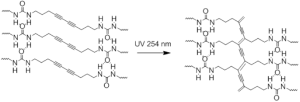 Figure 2. Self-assembly and UV-induced cross-polymerization of the diacetylenes.